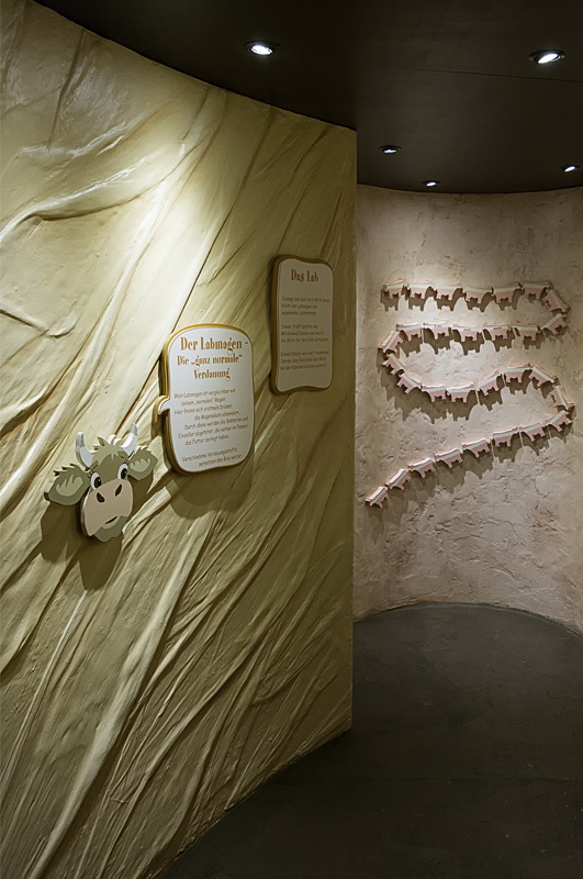 Allgäu 09 - 2014 - 20140915_0238 als Smartobjekt-1 Kopie.jpg - In der Ausstellung war auch ein begehbarer Kuhmagen